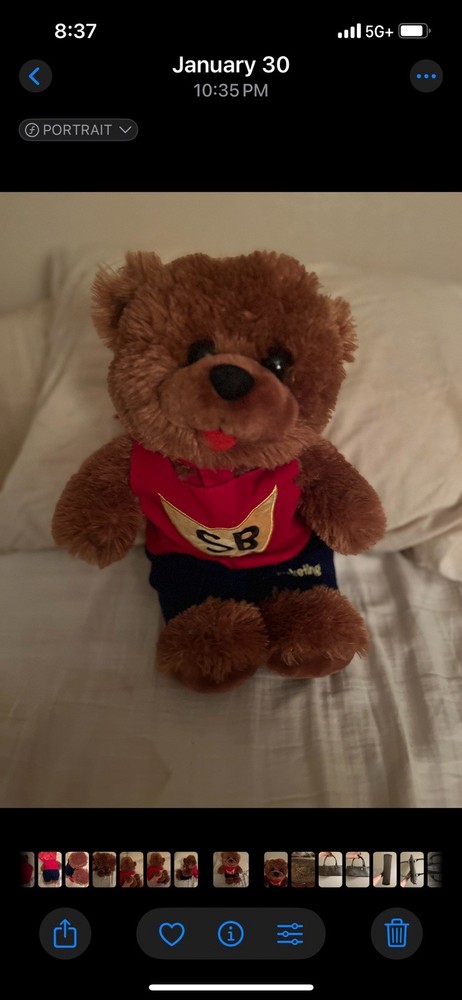 Vintage MJM Super Teddy Bear 15