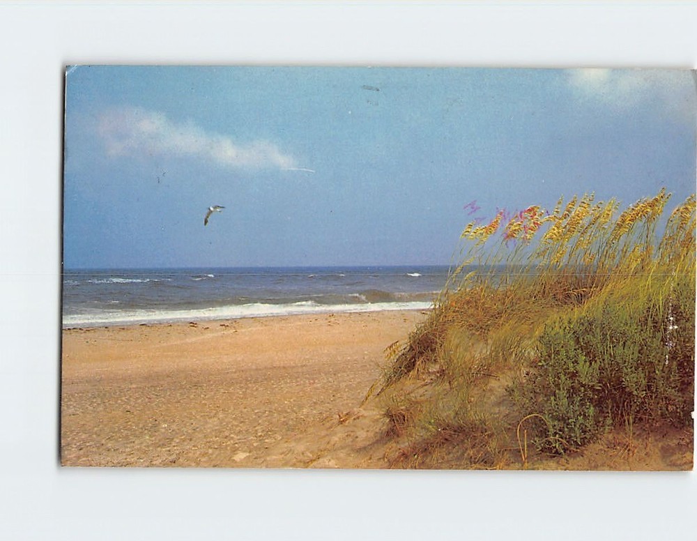 Postcard Beach Nature Scene