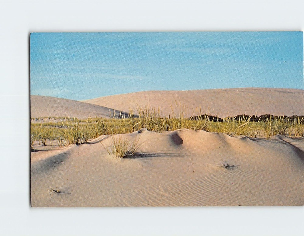 Postcard The Sand Dunes of the Outer Banks of North Carolina USA