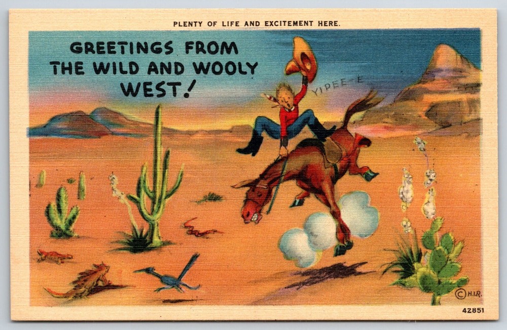 Comic~Greetings From Wild & Wooly West~Cowboy On Bucking Horse~Vintage Postcard