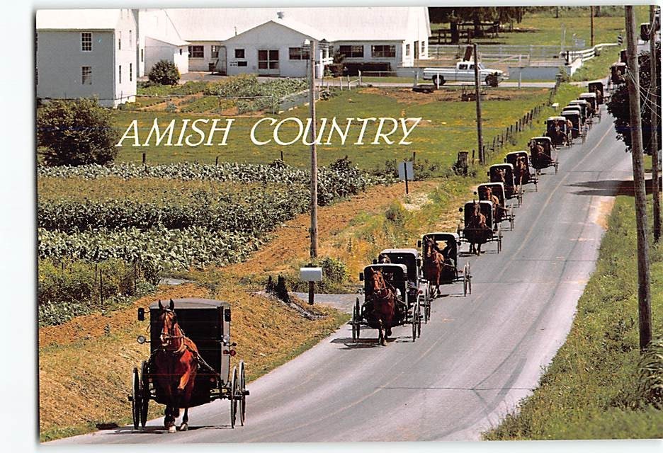 Postcard Greetings From The Amish Country Pennsylvania USA