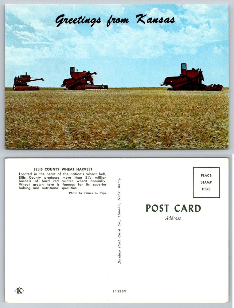 Greetings from Kansas Ellis County Wheat Harvest Combines Postcard