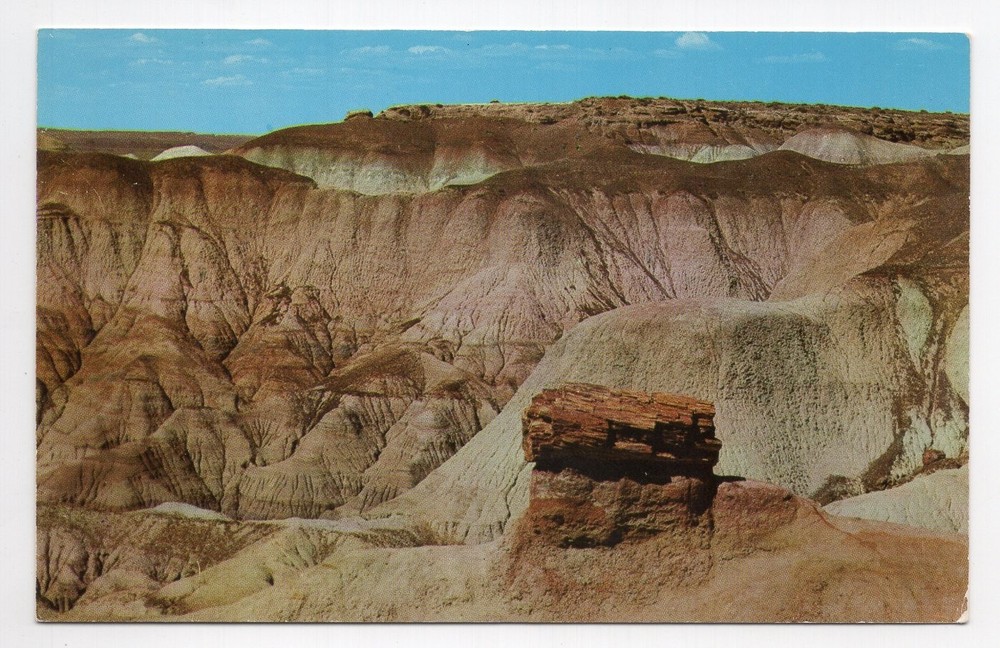 1960s? Chrome - CLOSEOUT - Pedestal Log, Blue Mesa, Petrified Forest N M - AZ