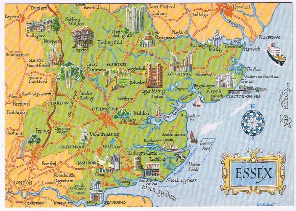 Postcard Pictoral Map Essex England UK