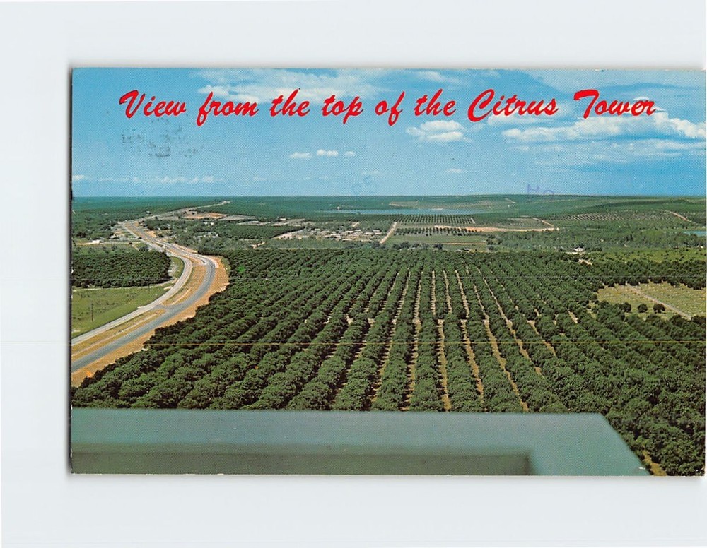 Postcard View of Orange Groves Lakes &Hills from top of Citrus Tower Clermont FL