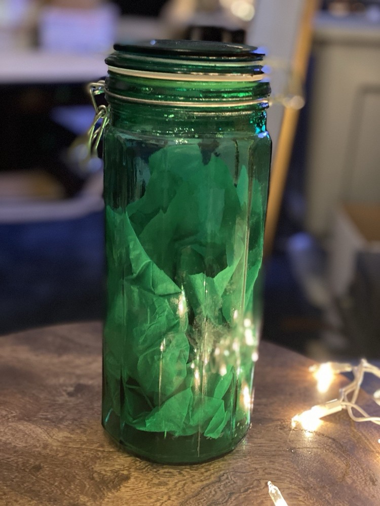 Green Glass Vintage-Style Canister Cookie Jar with Lid and Metal  Closure 10”