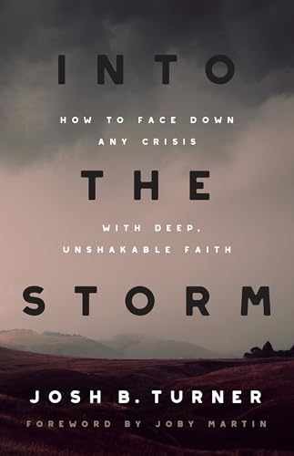 Into the Storm: How to Face Down Any - Paperback, by Turner Josh B. - Very Good