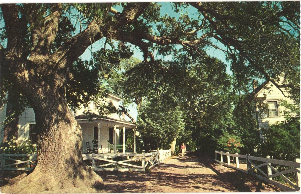 Ocracoke Island North Carolina Along the Village Street Vintage Postcard