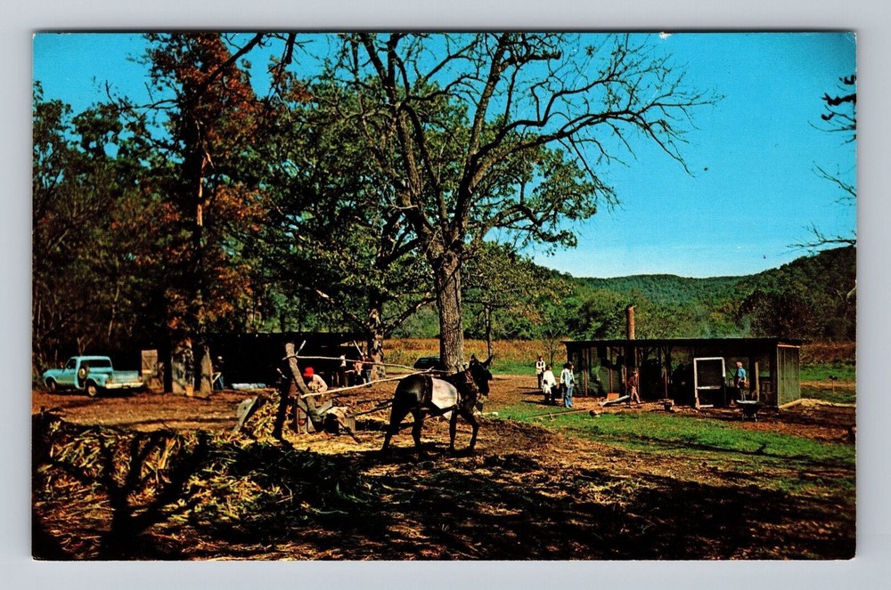 Ozarks Sorghum Mill Vintage Postcard