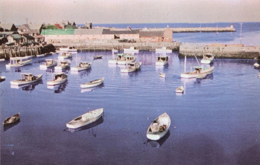 Bird's Eye View of Harbor - Rockport Massachusetts MA - Postcard