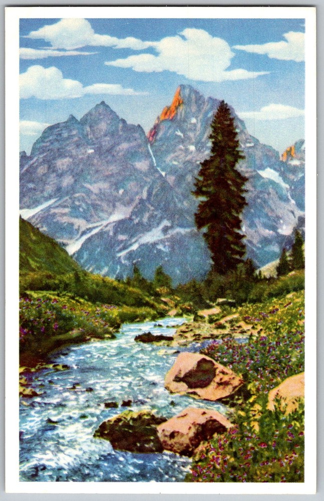 Vtg Postcard Outlet Of Lake Grand Teton National Park, WY 1950s