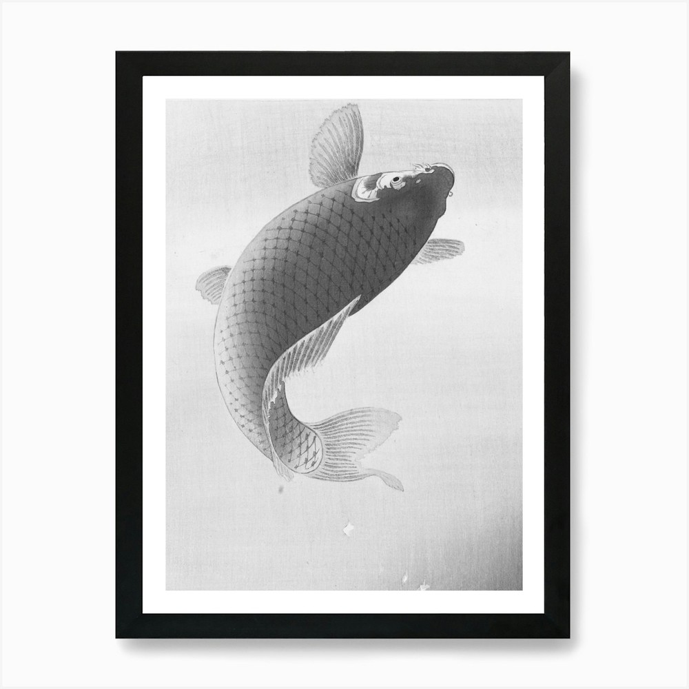 Koi Fish Art Print Framed Wall Art Poster Canvas Print Picture