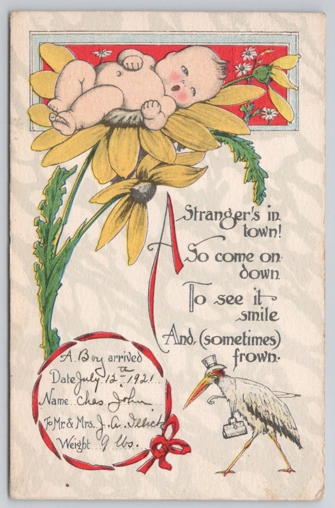 1921 Birth Announcement Postcard Baby Stork Knoxville IL Easton PA