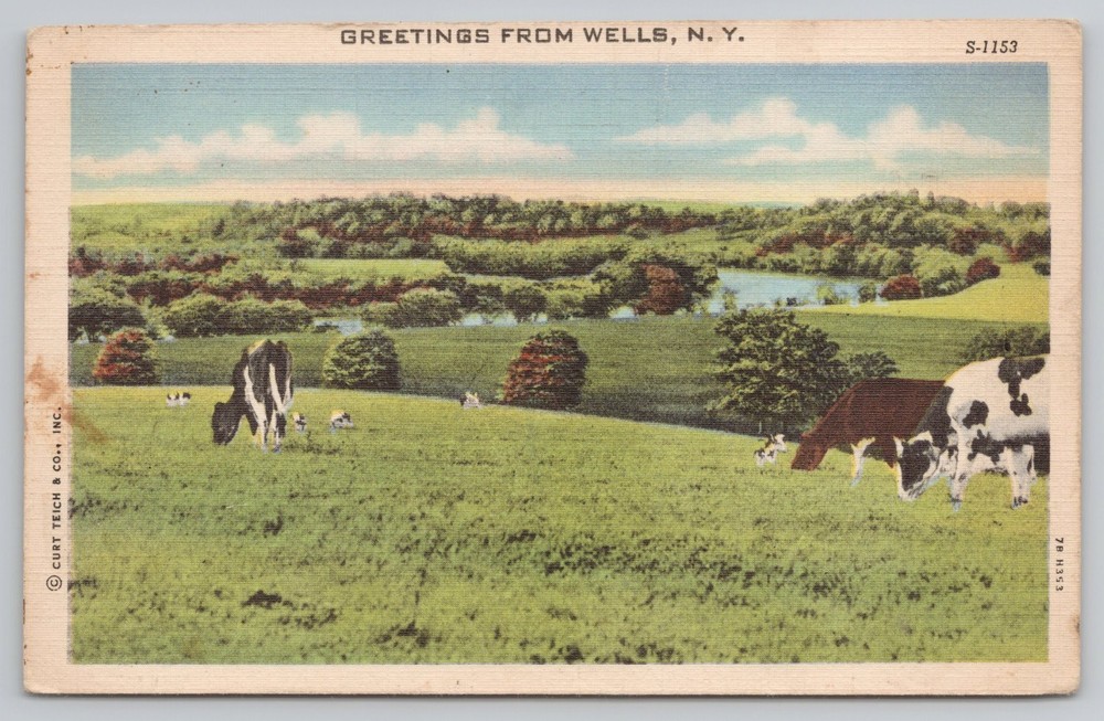 Greetings From Wells New York NY Postcard Cow Pasture Linen