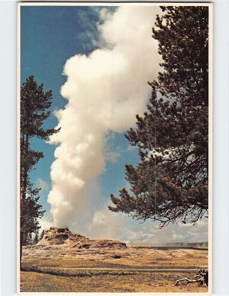 Postcard Castle Geyser Yellowstone National Park Wyoming USA