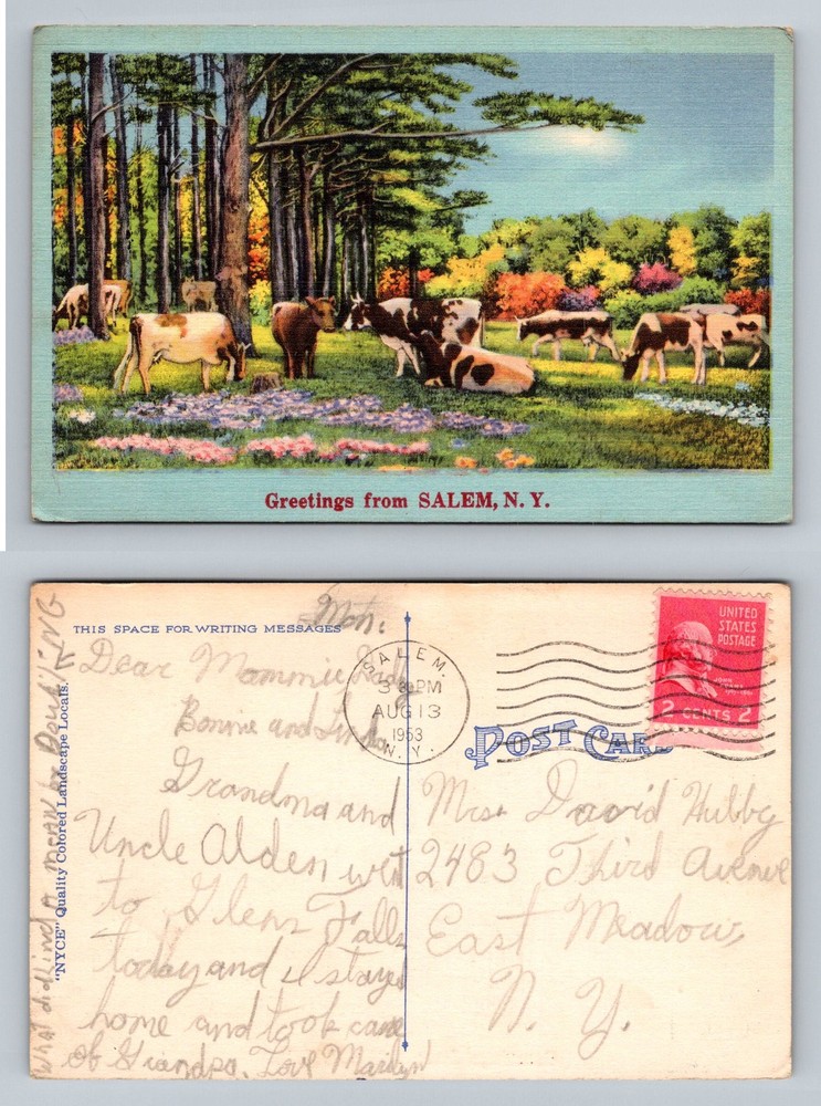 Salem, NY-New York, Greetings Cows In Colorful  Pasture Vintage c1953 Postcard