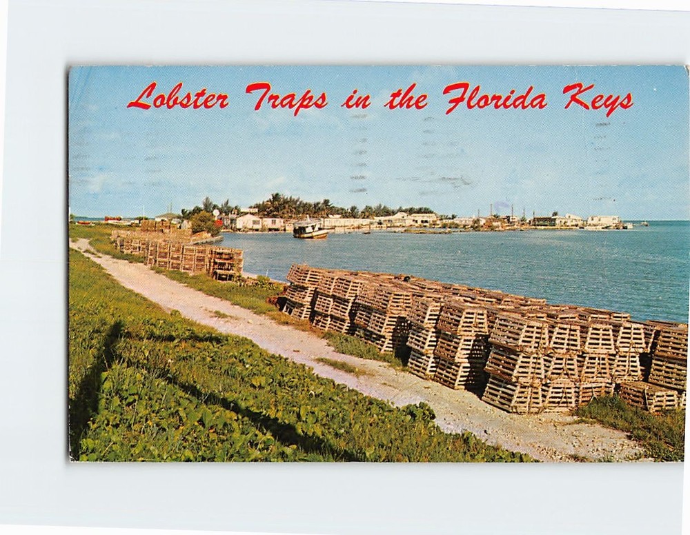 Postcard Lobster Traps in the Florida Keys Florida USA