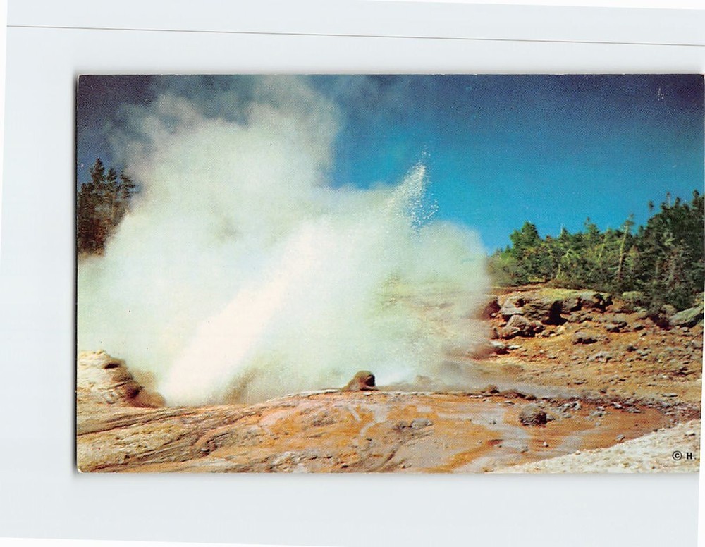 Postcard Steamboat Geyser Norris Geyser Basin Yellowstone National Park WY USA