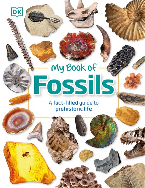 My Book of Fossils: A Fact-Filled Guide to Prehistoric Life -- DK - Hardcover
