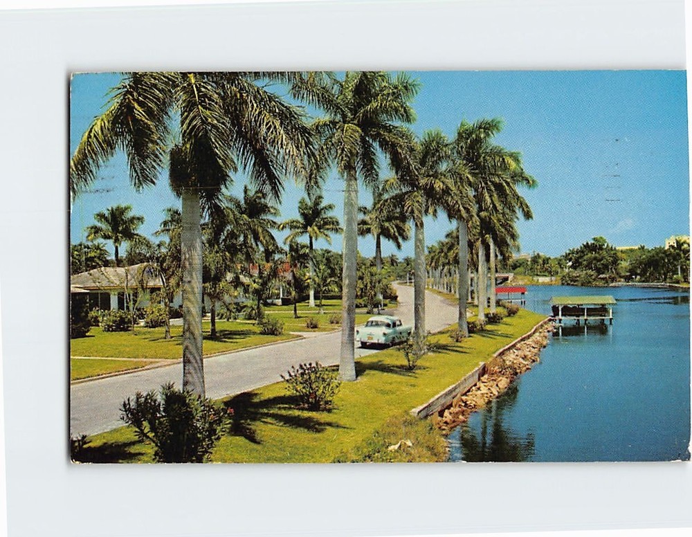 Postcard Delightful Tropical Florida Living Florida USA
