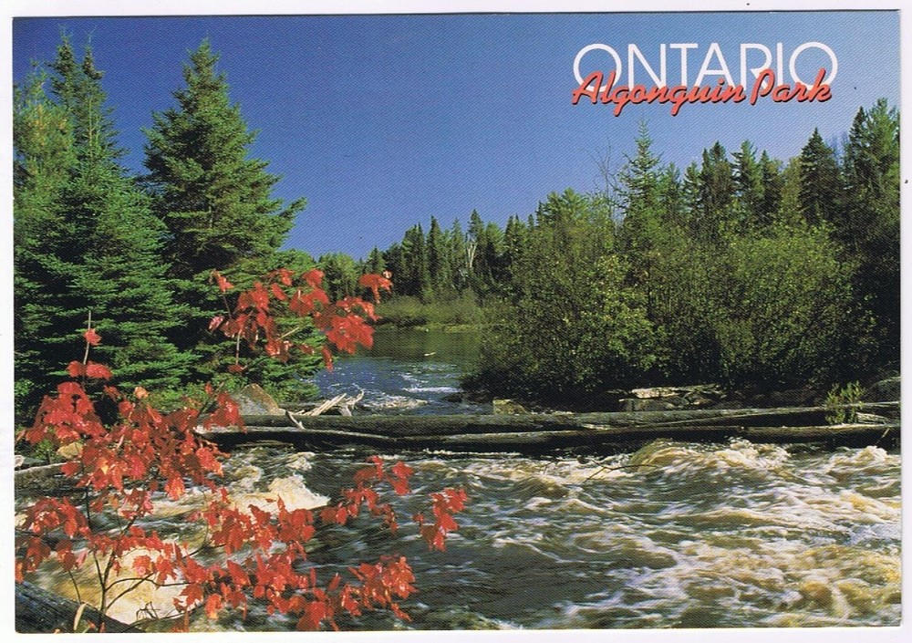 Postcard Sasajewun Falls Algonquin Park Ontario 4 3/4