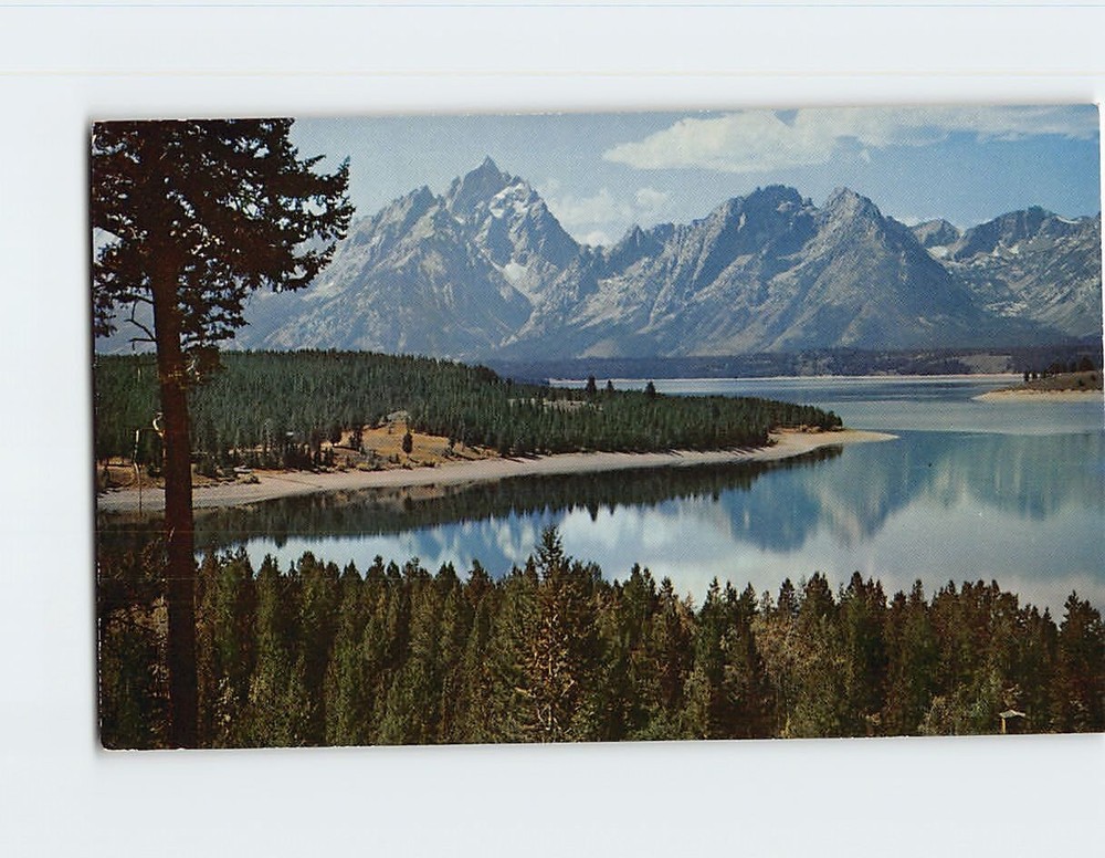 Postcard Jackson Lake & Teton Range Wyoming USA