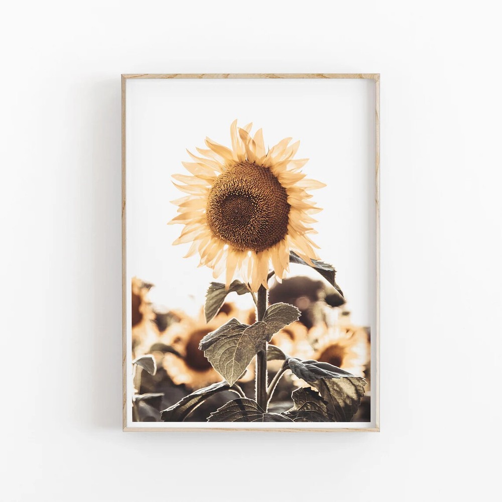 Sunflower Modern Minimalist Poster Premium Quality Choose your Size