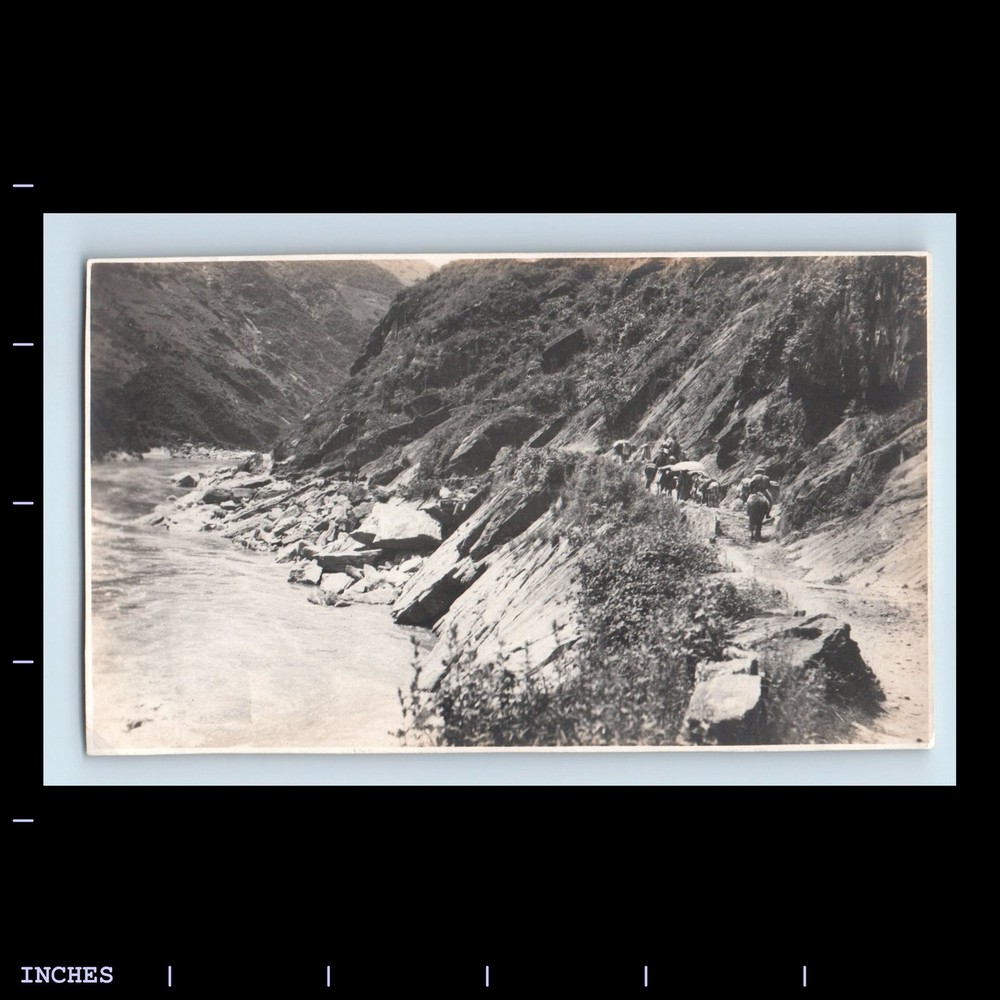 Old Vintage Photo LANDSCAPE MEN COWBOYS HORSES MULES RIVER
