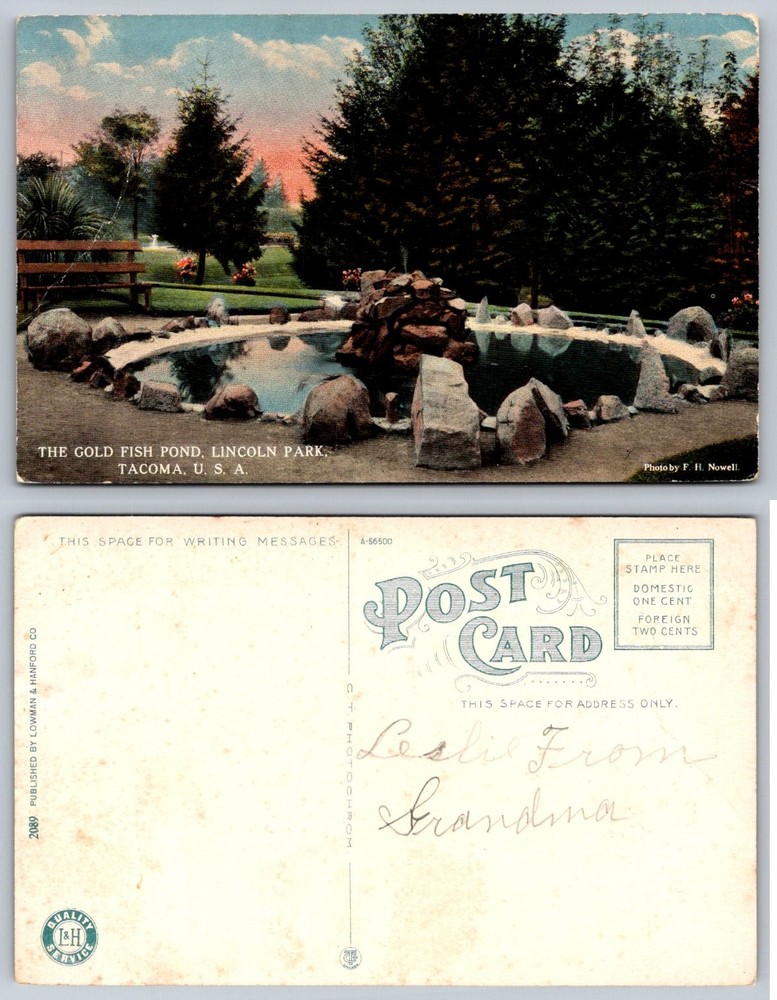 Gold Fish Pond Lincoln Park Tacoma WA Postcard F. H. Nowell Colortone