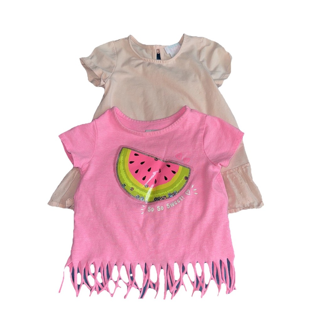 2 Summer/Springtime Shirts For Baby Girl Size 3T Pink Watermelon And Pink Ruffle