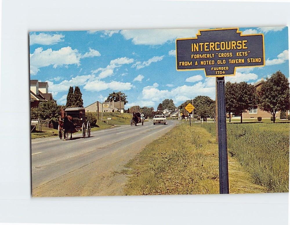 Postcard Typical Amish buggies Greetings From The Penna. Dutch Country PA USA