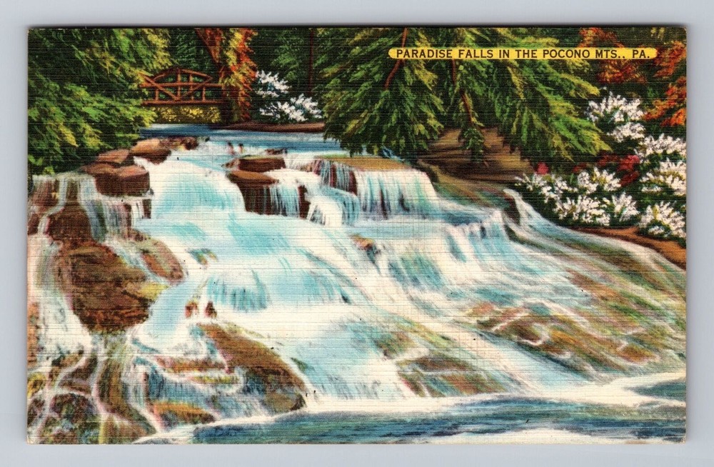 Pennsylvania PA Pocono Mountains Paradise Falls Vintage Postcard