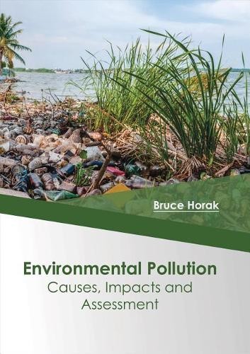Environmental Pollution: Causes, Impacts and Assessment (Hardback)