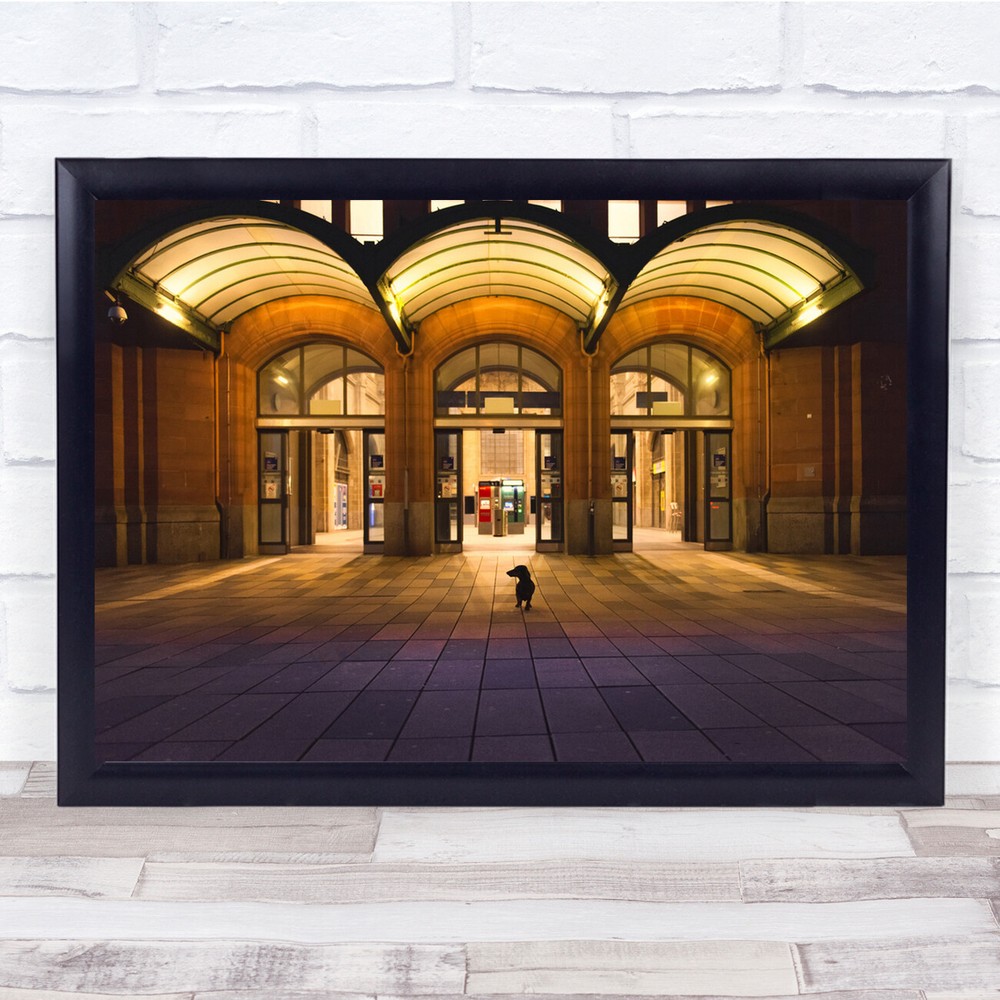 Dogs Street Architecture Yellow Wall Art Print