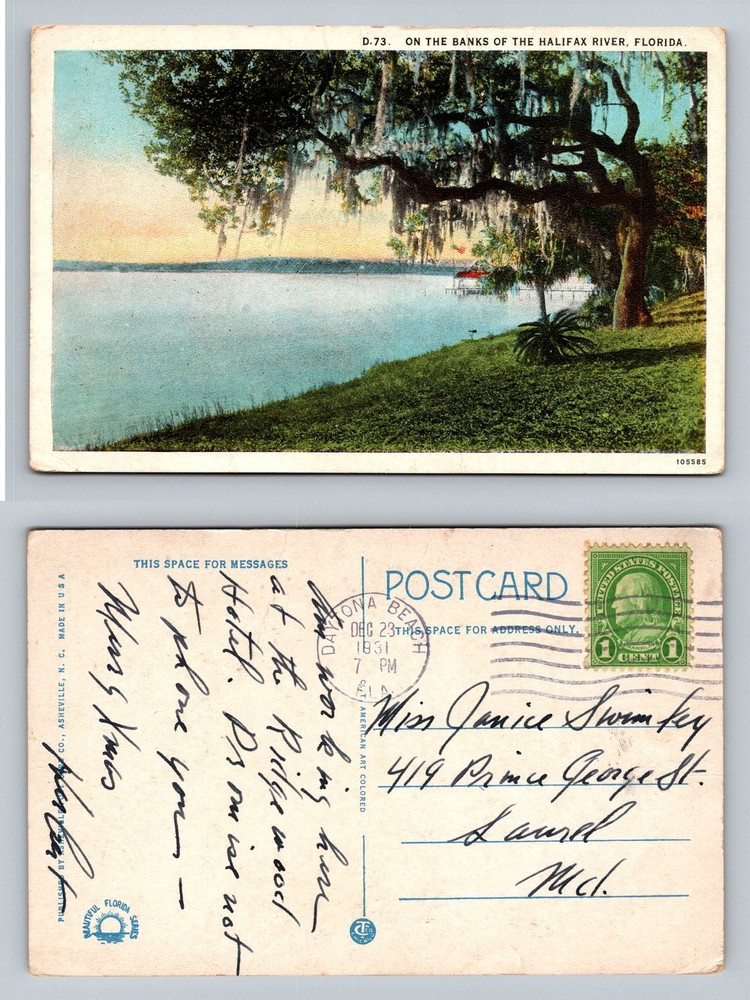 Daytona, FL-Florida, Halifax River Bank Spanish Moss Vintage c1931 Postcard