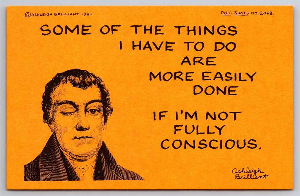 Pot Shots Humor Postcard Ashleigh Brilliant #2068 Some Of The Things I Have To..