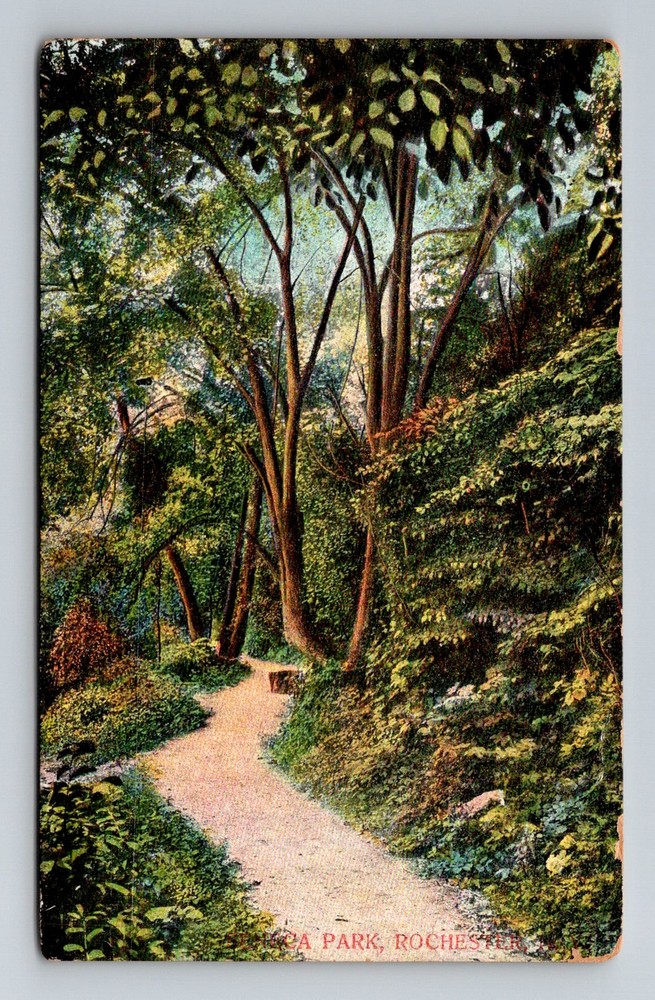 Rochester, NY-New York, Seneca Park Woodland Path Garden Walk Vintage Postcard