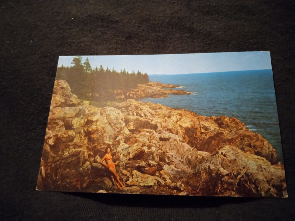 Subather at Ocean Drive Acadia National Park Mt Desert Island Maine Postcard-image