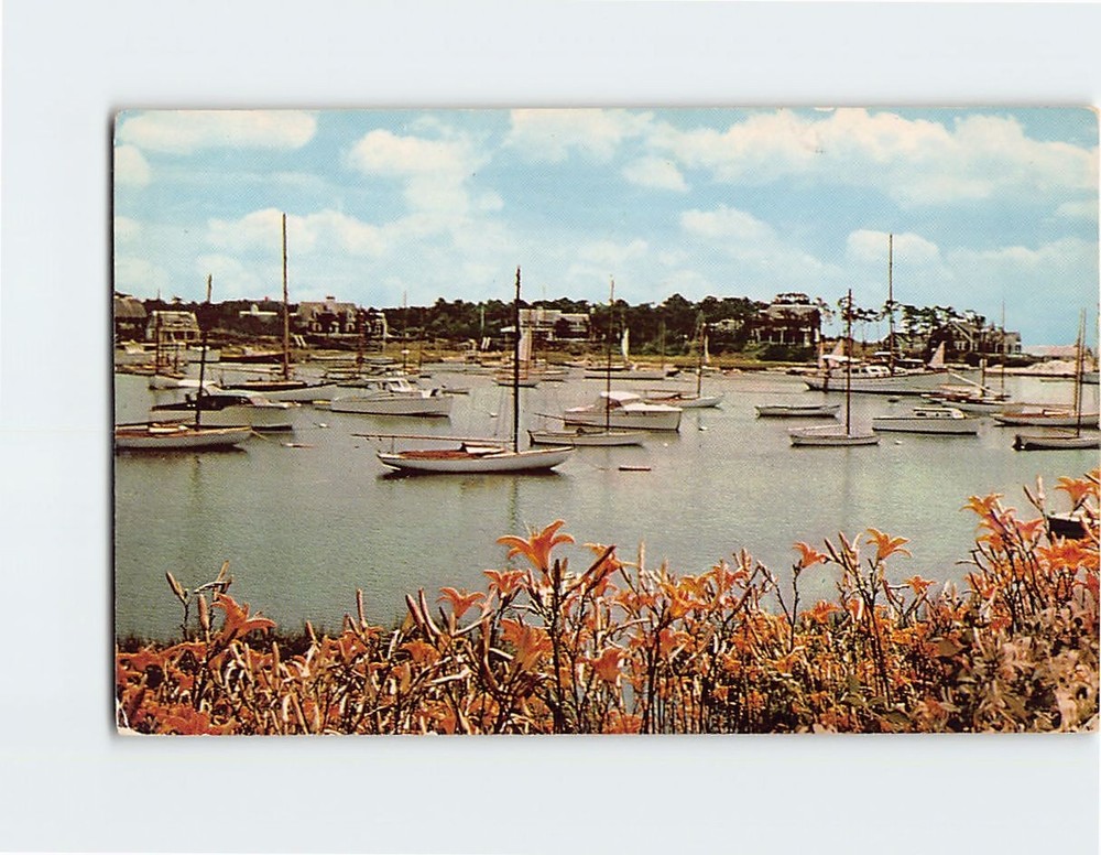 Postcard Quaint Harbor Scene On Cape Cod Massachusetts USA