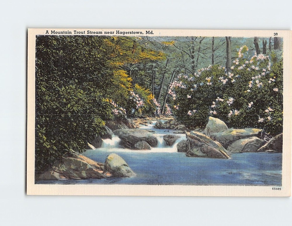 Postcard A Mountain Trout Stream near Hagerstown Maryland USA North America