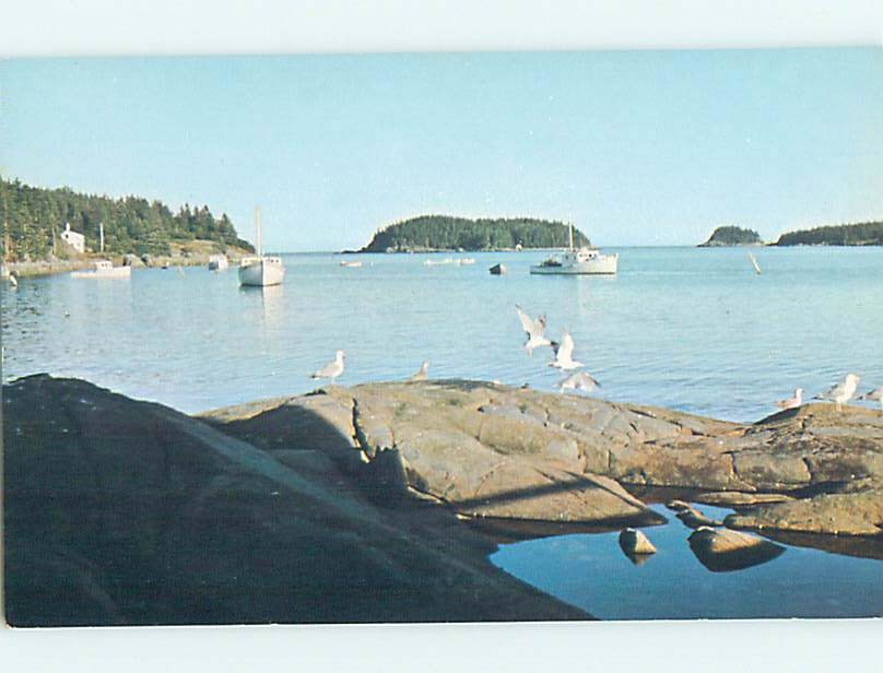 Pre-1980 HARBOR SCENE Cutler Maine ME hp7353