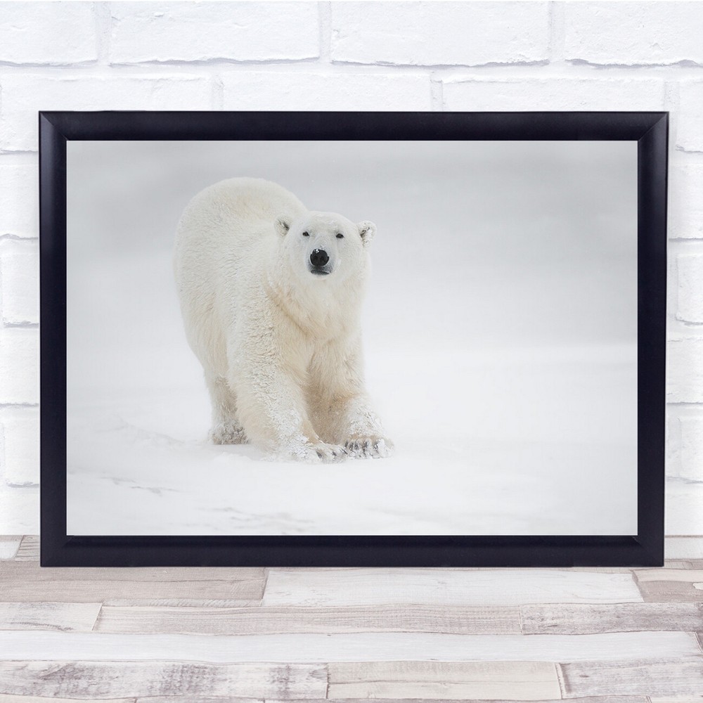Polar Bear Frozen Ice Canada Snowy Wall Art Print Poster  