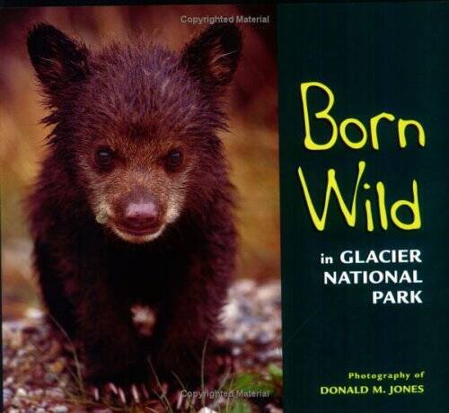 Born Wild in Glacier National Park - Paperback - GOOD