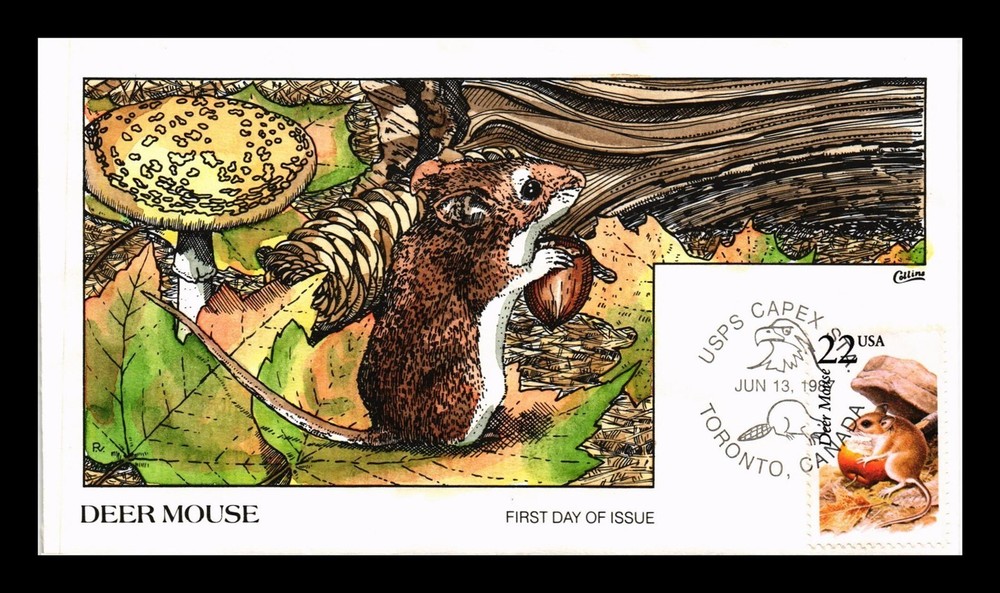 DR JIM STAMPS US Cover Deer Mouse Wildlife Art Hand Painted Collins FDC