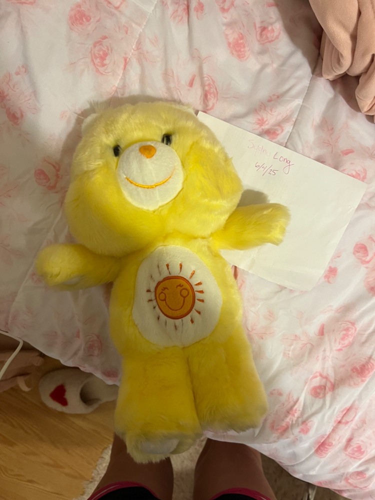 UK Exclusive Gund Funshine Bear Care Bear