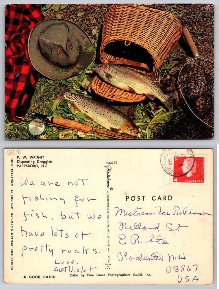 Vintage Plastichrome Postcard: 