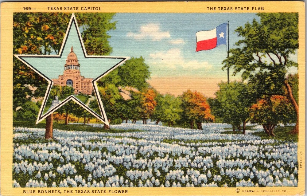 TX-Texas, State Flower, State Flag, Capitol, Vintage Postcard
