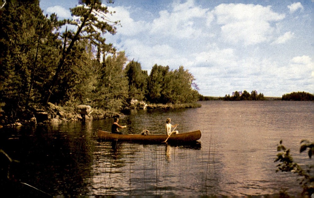 5,000 Lakes in Superior National Forest, Northern Minnesota Postcard