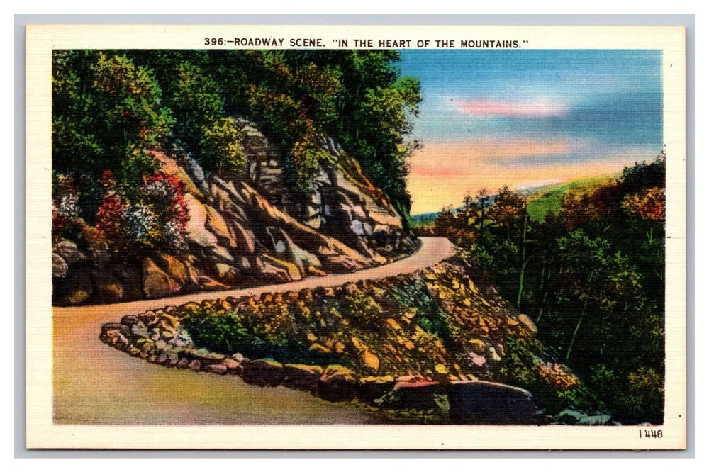 Roadway Scene Heart of the Mountains 396 Asheville Post Card Co Linen Postcard
