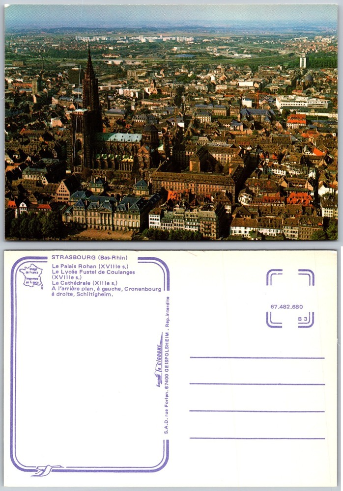 Continental Strasbourg Cathedral Postcard